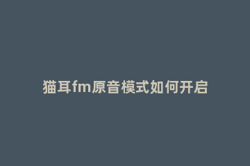 猫耳fm原音模式如何开启 猫耳FM直播背景音乐怎么开