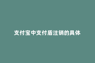 支付宝中支付盾注销的具体方法 支付宝注销步骤如下