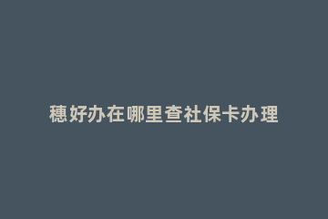 穗好办在哪里查社保卡办理流程 穗好办社保卡申领激活网点