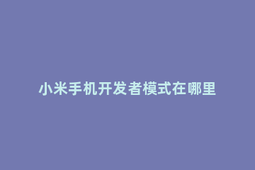 小米手机开发者模式在哪里关闭 怎样关闭小米手机的开发者模式