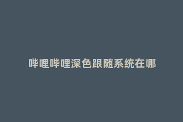 哔哩哔哩深色跟随系统在哪开启 哔哩哔哩夜间模式跟随系统