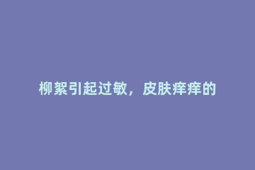 柳絮引起过敏，皮肤痒痒的，去医院就医前可以 柳絮过敏需要吃药么