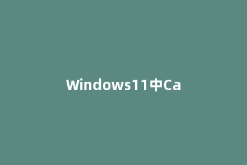 Windows11中Canva应用怎么样