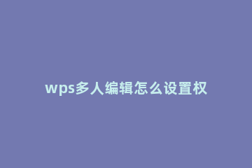 wps多人编辑怎么设置权限 wps表格多人在线编辑权限设置