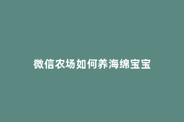 微信农场如何养海绵宝宝 海绵宝宝怎么养?