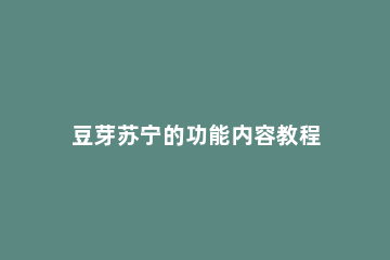 豆芽苏宁的功能内容教程 苏宁豆芽下载安装