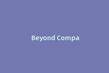 Beyond Compare文本比较设置书签的操作方法