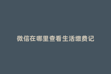 微信在哪里查看生活缴费记录 微信里生活缴费记录怎么查