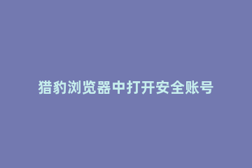 猎豹浏览器中打开安全账号管家的操作教程 猎豹浏览器安全中心