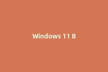 Windows 11 Build 22463有哪些改进？Windows 11 Build 22463更新内容介绍