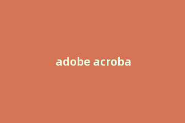 adobe acrobat x pro怎么转换word?adobe acrobat x pro转换word的方法