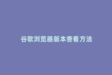 谷歌浏览器版本查看方法 谷歌浏览器怎样看版本