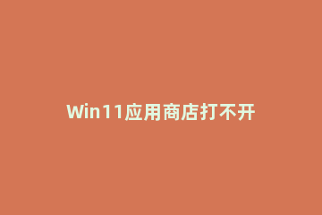 Win11应用商店打不开怎么办 Win10应用商店进不去