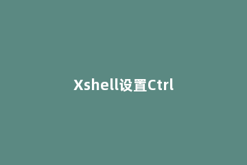 Xshell设置Ctrl+C xshell设置快捷键