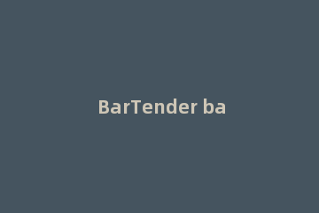 BarTender bartender永久激活码