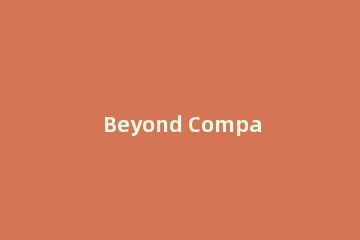 Beyond Compare比较文本时限制每行字符数的操作步骤