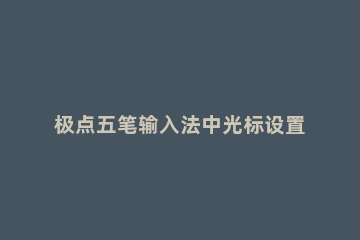 极点五笔输入法中光标设置跟随的操作步骤 五笔打字光标跟随的地方怎么设置