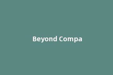 Beyond Compare 4在FTP端比较代码的具体操作步骤