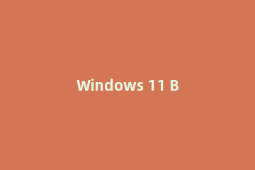 Windows 11 Build 22000.194更新了什么？Windows 11 Build 22000.194更新内容介绍