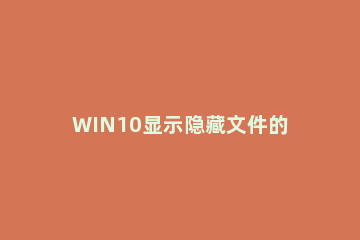 WIN10显示隐藏文件的操作方法 win10怎么显示隐藏的文件