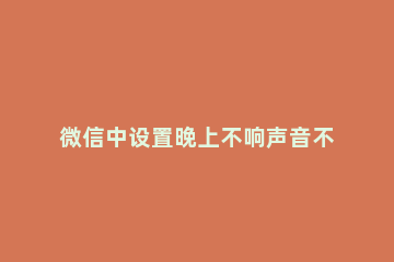 微信中设置晚上不响声音不震动的操作教程 微信怎么设置不震动没声音