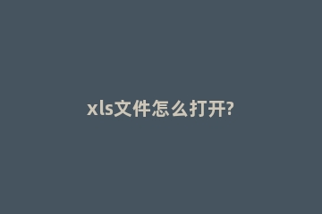 xls文件怎么打开?