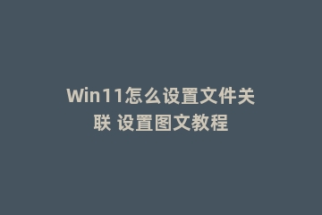 Win11怎么设置文件关联 设置图文教程