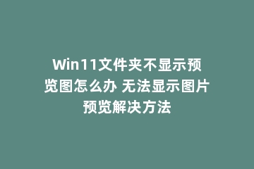 Win11文件夹不显示预览图怎么办 无法显示图片预览解决方法