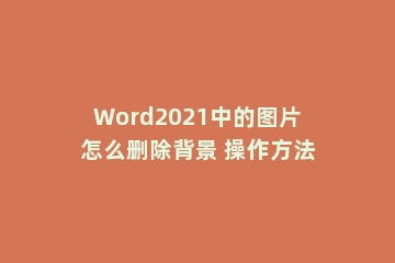 Word2021中的图片怎么删除背景 操作方法