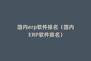 国内erp软件排名（国内ERP软件排名）